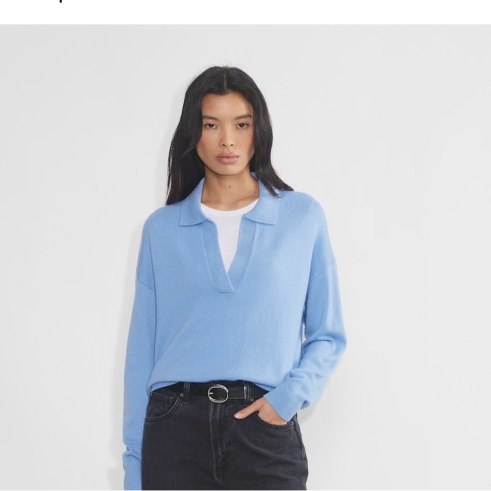 Aritzia Wilfred Merino Wool Blue V-Neck Sweater